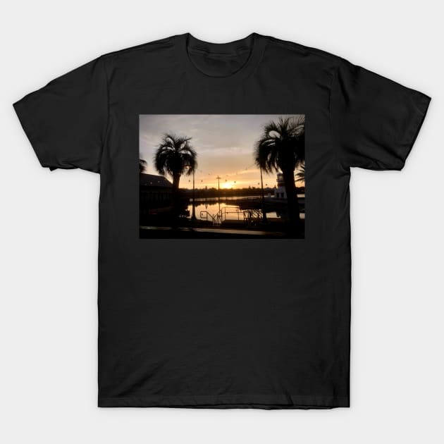 skyliner at sunset T-Shirt by Wenby-Weaselbee